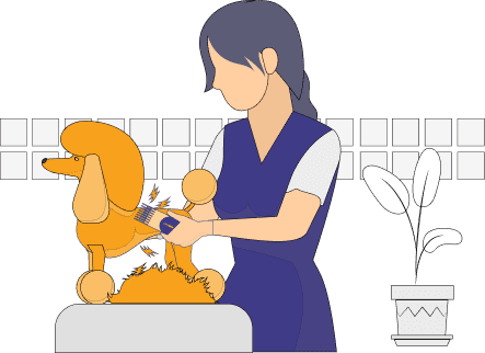Pet Grooming